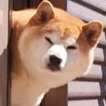 T🌱さんのプロフィール画像