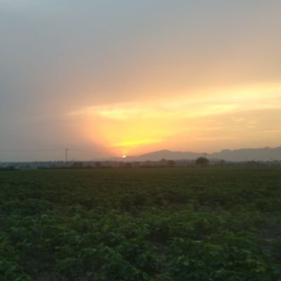 SajidMohal91's profile picture. 