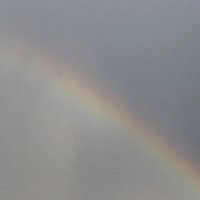 ışık evindeki basık arı (@gzgnsylmynpltnn) Twitter profile photo