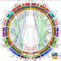 Irimia Lab (@irimia_lab) 's Twitter Profile Photo Irimia Lab (@irimia_lab) 's Twitter Profile Photo