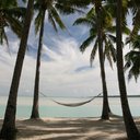 Sian Price-White - @SianPriceWhite - Twitter