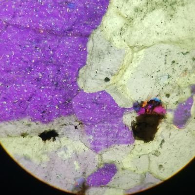 dakota_h27's profile picture. 