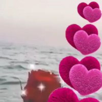 بنت تعز محرومه (@bmhrwmh) 's Twitter Profile
