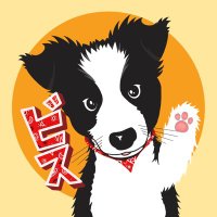 ボーダーコリーのBiSくん(@bishasekaikaeru) 's Twitter Profile Photo