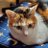 tomi_0923