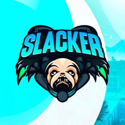 Gamer/Streamer | Owner of @TeamENRGEsports | 17 | Small Streamer | Insta: slackerhimself | Tiktok: slackerhimself