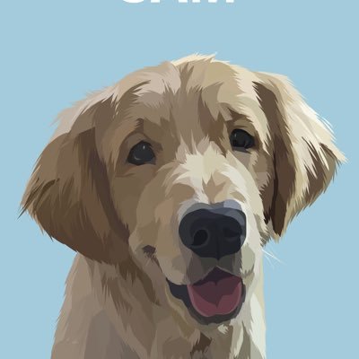 Yaboy24 Profile