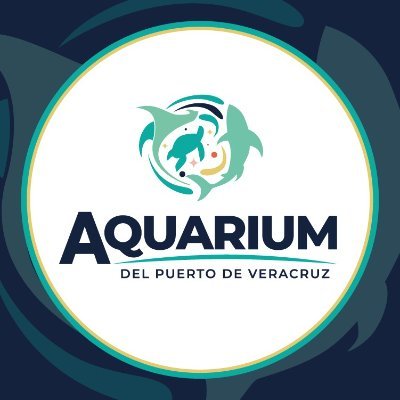 AquariumPVer's profile picture. Ven y siéntete como pez en el agua en el #AquariumPuertodeVeracruz 🐠🦀