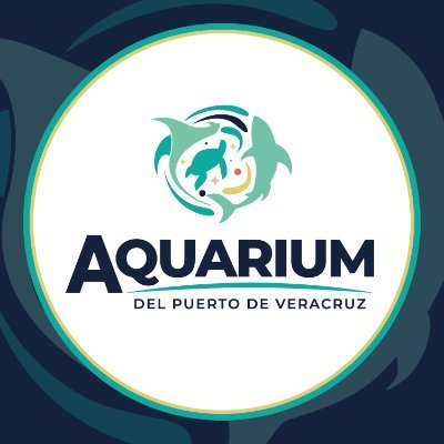 Ven y siéntete como pez en el agua en el #AquariumPuertodeVeracruz 🐠🦀