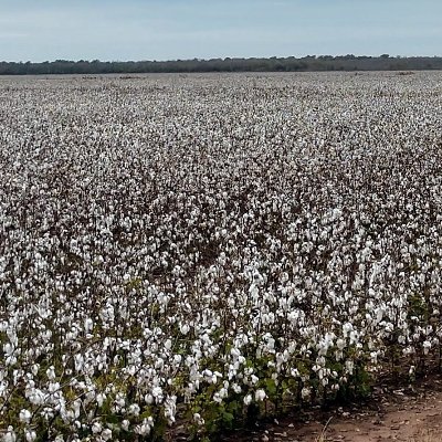 Row Crops - Grazing - Pecan Production - Hunting - Fishing