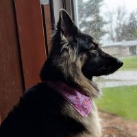 Malyssa (@23malyssa) 's Twitter Profile Photo Malyssa (@23malyssa) 's Twitter Profile Photo