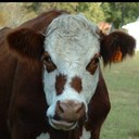 Rick Schroeder - @rickschro - Twitter