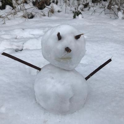 mk50697956's profile picture. 