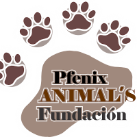 Pfenix Animal ́s Fundación(@PfenixAnimalsF) 's Twitter Profile Photo