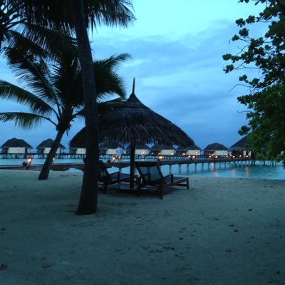 nian_kua's profile picture. 热爱自己、热爱生活、开心每一天！