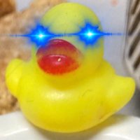 Bitcoin 🐣 (@fruitscientist) 's Twitter Profile