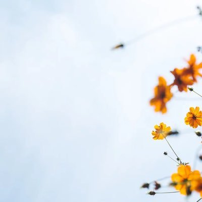 k_1Qa's profile picture. 