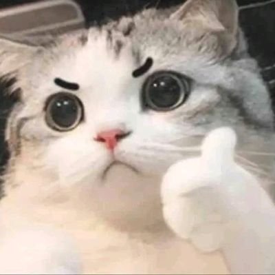 pai_urpai's profile picture. Blink ❤️