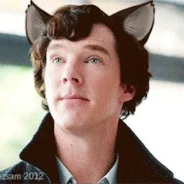 bradchen88's profile picture. “The more labels you have for yourself, the dumber they make you.”