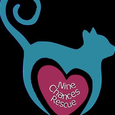 We are a 501(c)(3) non-profit cat rescue. We take in cats, spay or neuter and find a loving home. Big fur family, foster, rescue, tnr, transport