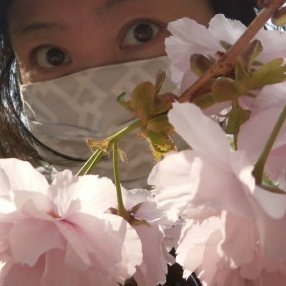 花騎士団長さんの無言フォロー歓迎初回挨拶不要。推しは飲兵衛勢とおねーさん系
北国在住の人妻藩士、関節リウマチ&アトピー持ち
アナログ下絵左手デジタル塗り右手の変な絵描きおばさん
推V🌈🕒多め/舞力/♥🦋/💚/🐮
ストグラ観測者してまふ(👻幼稚園絡み&🦖