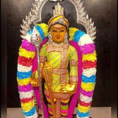 PRAVEEN90896701's profile picture. 