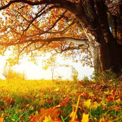 ariel_hlove's profile picture. 