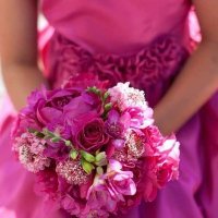 Edvic (@pivoine2022) 's Twitter Profile Photo Edvic (@pivoine2022) 's Twitter Profile Photo