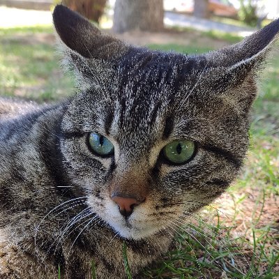 _pineal_gland_'s profile picture. 🏴  Sinirliyim çünkü umudum var.
 |-/