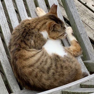 ktaroskk's profile picture. 