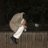 cccc2222224's profile image
