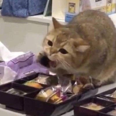 fayeplayspacee's profile picture. Do you like book? | TH/EN | Book lover & Part time(?) Shipper ( IKE SIMP🖋 I’ll be Quilldren forever)