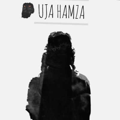 ujahamza Profile Picture