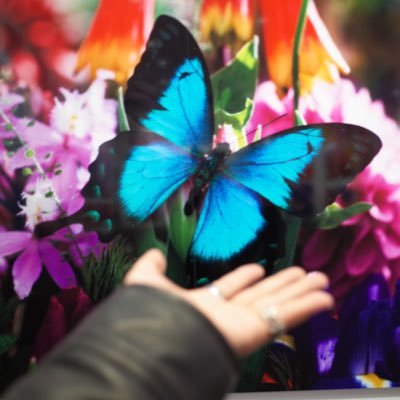 lightxright28's profile picture. 忖度なしで占います。面白きこの世をさらに味わい尽くす。#東洋易学学会#易学鑑定士#マボロシのゼロキ#キャメレオン竹田のタロット占い師になる学校#四柱推命#九星気学#易タロット