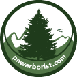 PNW Arborist is a group of arborists who just want to talk trees.