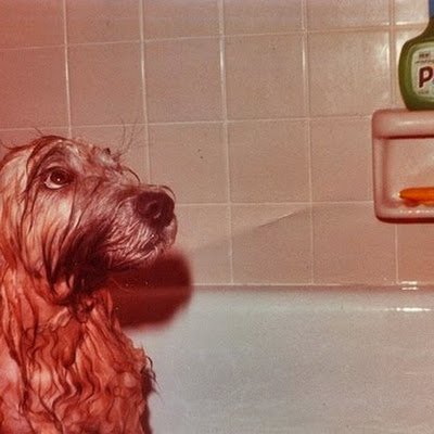 HlavacKatja's profile picture. 