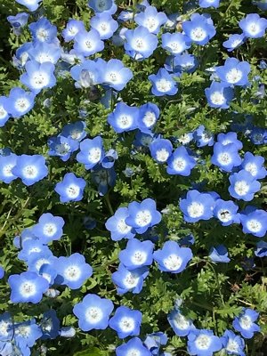 6qfCrCp8sFog29q's profile picture. 