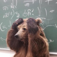 🐘Rognon rognon l’ (@quelucochon) 's Twitter Profile