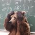 🐘Rognon rognon l’ (@quelucochon) Twitter profile photo 🐘Rognon rognon l’ (@quelucochon) Twitter profile photo