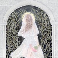 white armor (@whitearmor1) 's Twitter Profile