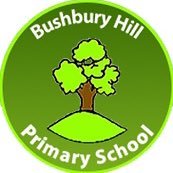 Bushbury Hill Primary School - Be the Best you can Bee!