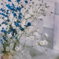 🌱 (@ottotto_142487) 's Twitter Profile Photo 🌱 (@ottotto_142487) 's Twitter Profile Photo