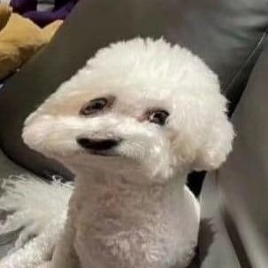 tairachee's profile picture. 