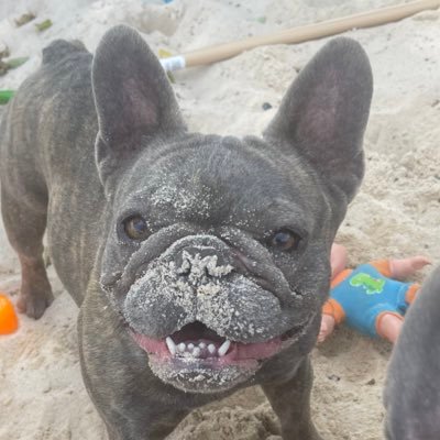 xCOWxBOYSx's profile picture. 