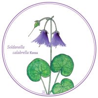 XIV INTERNATIONAL SEMINAR BIODIVERSITY MANAGEMENT (@xivseminarbiod) 's Twitter Profile