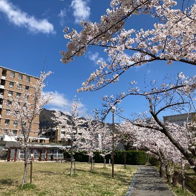 Kurahashi16's profile picture. 神戸大学にて不完全性定理、証明可能性、様相論理などに関する研究をしています（数学基礎論、数理論理学）。 https://t.co/3bboCGZ725 数学における証明と真理（共立出版）好評発売中 https://t.co/JL8pM2vPse