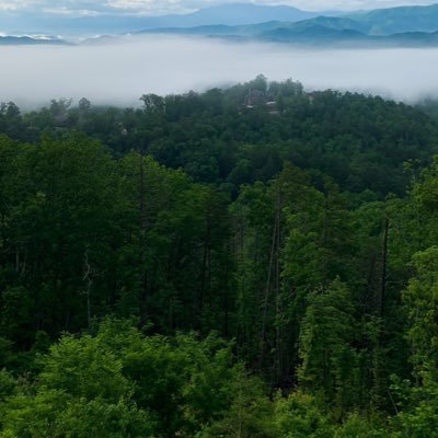 assadahmed97's profile picture. التسامح وحب الناس وعدم التدخل في امور الآخرين