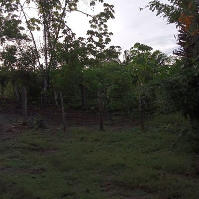 alguna chica con ganas de culiar escribir al dm y le pasó mi WhatsApp