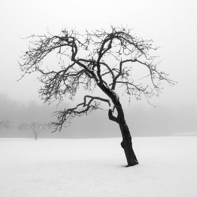 ChristianDunda8's profile picture. 