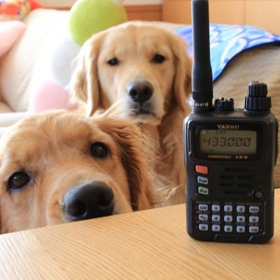 Jp1Xri's profile picture. 1983年にアマチュア無線開局、一旦離れましたが2022年4月に再開局しました。旧コールサイン復活できて良かった！昔は50MHz帯メインに出没してましたが現在はHF帯を中心に、時々VU帯を覗いてます。7と18MHz帯推し。小心者ゆえ無言フォローごめんなさい💦 POTA,SOTA細々追いかけ隊、CW超初心者です。